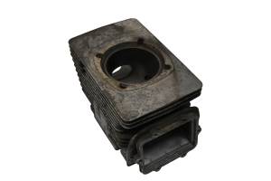 Ski-Doo - 13 Ski-Doo Skandic WT 550F Cylinder - Image 2