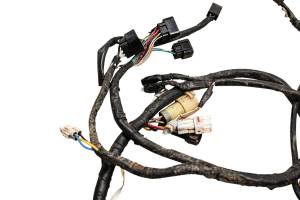 Yamaha - 02 Yamaha Raptor 660 2x4 Wire Harness Electrical Wiring YFM660R - Image 2