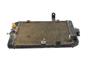 01 Yamaha Raptor 660 2x4 Radiator YFM660R