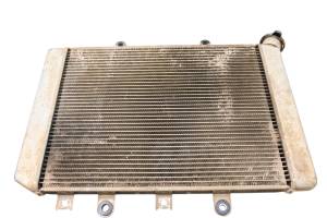 09 Yamaha Grizzly 700 4x4 EPS Radiator YFM700F