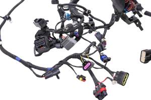 20 Indian Challenger Dark Horse Wire Harness Electrical Wiring - Image 2