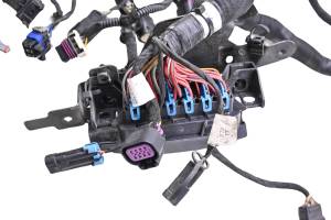 20 Indian Challenger Dark Horse Wire Harness Electrical Wiring - Image 4