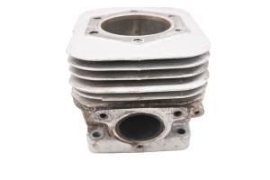 Polaris - 15 Polaris Indy Voyager 550 Cylinder 155" - Image 3