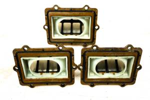 00 Polaris Genesis FFI 4-Pass Reed Valves