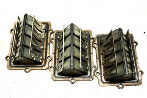 Polaris - 00 Polaris Genesis FFI 4-Pass Reed Valves - Image 2