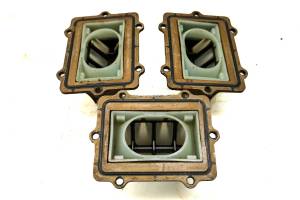 Polaris - 00 Polaris Genesis FFI 4-Pass Reed Valves - Image 4