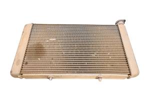 Yamaha - 16 Yamaha Wolverine 700 Radiator YXE700 - Image 3