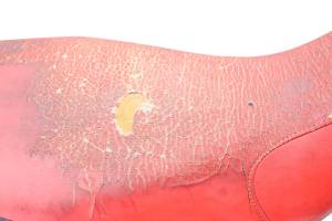 Polaris - 03 Polaris Predator 500 2x4 Seat - Image 4