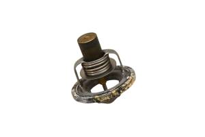 Yamaha - 02 Yamaha Grizzly 660 4x4 Thermostat YFM660F - Image 2