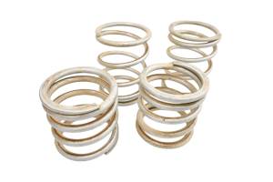 18 Polaris RZR XP Turbo EPS Dynamix Front & Rear Tender Shock Springs
