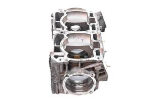 Ski-Doo - 15 Ski-Doo Renegade Adrenaline 800R E-TEC Crankcase Center Crank Case 137" - Image 4