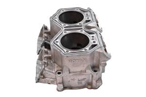 Ski-Doo - 15 Ski-Doo Renegade Adrenaline 800R E-TEC Cylinder 137" - Image 4