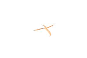 Polaris - 03 Polaris Trail Boss 330 2x4 Seat For Parts - Image 4