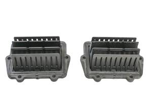 Polaris - 19 Polaris 800 Axyx SKS Reed Valves 146" - Image 1