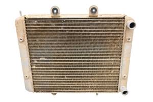 Polaris - 14 Polaris RZR 4 800 EPS Radiator - Image 2