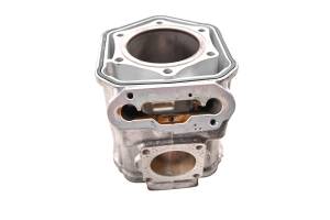 Ski-Doo - 11 Ski-Doo Renegade Back Country X 600 HO Cylinder 137" - Image 4