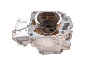 Ski-Doo - 11 Ski-Doo Renegade Back Country X 600 HO Cylinder 137" - Image 5