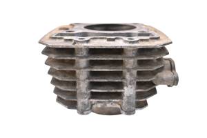 Kawasaki - 05 Kawasaki Bayou 250 2x4 Cylinder KLF250 - Image 2