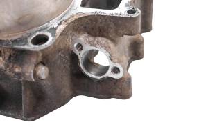 Kawasaki - 04 Kawasaki Prairie 700 Rear Cylinder KVF700 - Image 6