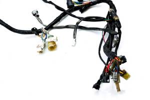 Yamaha - 03 Yamaha Raptor 660 2x4 Wire Harness Electrical Wiring YFM660R - Image 3