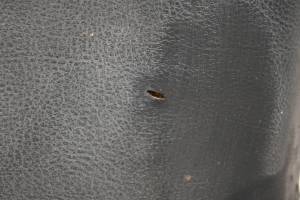 Polaris - 13 Polaris Ranger 500 4x4 Midsize Seat Bottom Cushion - Image 3