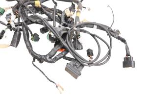 Yamaha - 07 Yamaha Rage Wire Harness Electrical Wiring RSG90W - Image 4