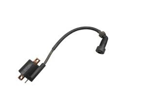 Yamaha - 01 Yamaha Breeze 125 Ignition Coil YFA125 - Image 1