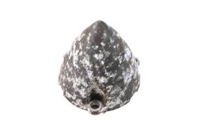 05 Yamaha Waverunner VX110 Sport Jet Pump Nose Cone Cover VX1100D