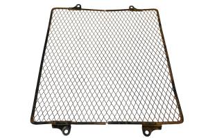 Kawasaki - 10 Kawasaki Teryx 750 4x4 Radiator Screen Cover KRF750 - Image 2