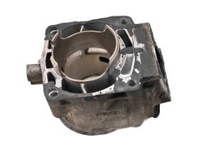 Polaris - 08 Polaris 700 IQ HO Cleanfire Cylinder 121" - Image 5