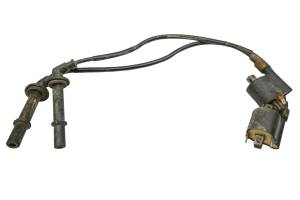 20 Kawasaki Teryx KRX 1000 Ignition Coils KRF1000ALF