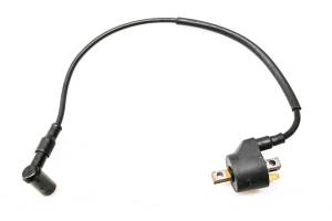 00 Polaris Xplorer 250 4x4 Ignition Coil