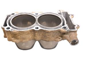 Polaris - 13 Polaris RZR XP 900 EPS 4x4 Cylinder - Image 3