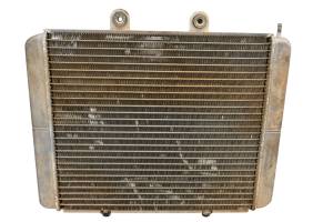 13 Polaris RZR 800 EFI EPS 4x4 Radiator