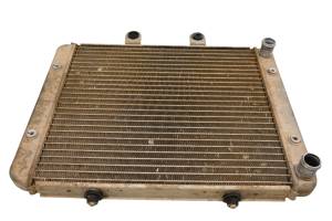 Polaris - 13 Polaris RZR 800 EFI EPS 4x4 Radiator - Image 4