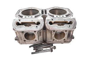 14 Ski-Doo Renegade Back Country 800R E-Tec Cylinder 137"