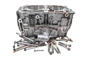 10 Ski-Doo Renegade X 800R E-Tec Crankcase Center Crank Case 137"