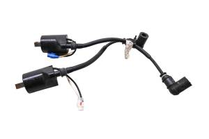 16 Polaris 800 Rush Pro S Ignition Coils 137"