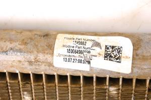 Polaris - 14 Polaris RZR 900 EFI 4x4 Radiator - Image 6