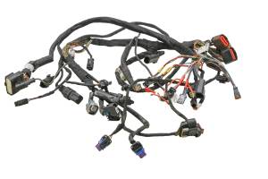 18 Harley-Davidson Street Bob Engine Wire Harness FXBB107