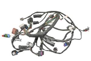 20 Harley-Davidson Street Bob FXBB Engine Wire Harness Electrical Wiring