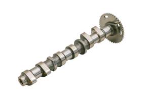 Can-Am - 22 Can-Am Ryker Rally 900 Intake Camshaft Cam Shaft - Image 2