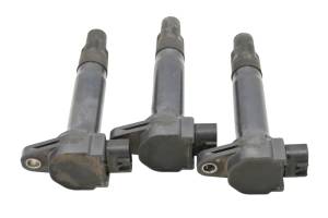 Can-Am - 22 Can-Am Ryker Rally 900 Ignition Coils - Image 4