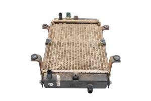 Can-Am - 06 Can-Am DS250 2x4 Radiator - Image 3