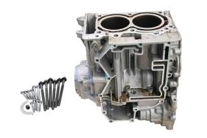 19 Can-Am Ryker 600 ACE Crankcase Center Crank Case & Cylinders