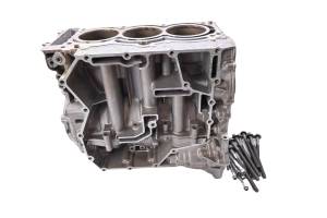 19 Can-Am Ryker Rally 900 Ace Crankcase Center Crank Case & Cylinders