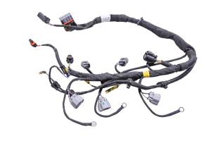 19 Can-Am Ryker Rally 900 Ace Engine Wire Harness
