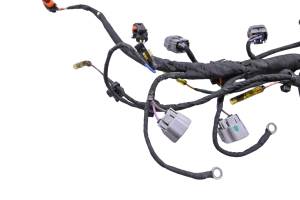 Can-Am - 19 Can-Am Ryker Rally 900 Ace Engine Wire Harness - Image 2