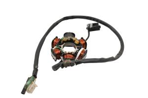 Can-Am - 10 Can-Am DS90 Stator - Image 3