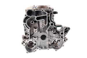 Can-Am - 21 Can-Am Ryker Rally 900 Ace Crankcase Center Crank Case & Cylinders - Image 4
